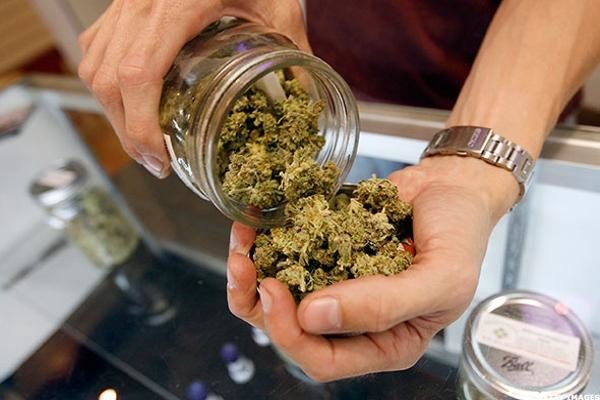 buying weed